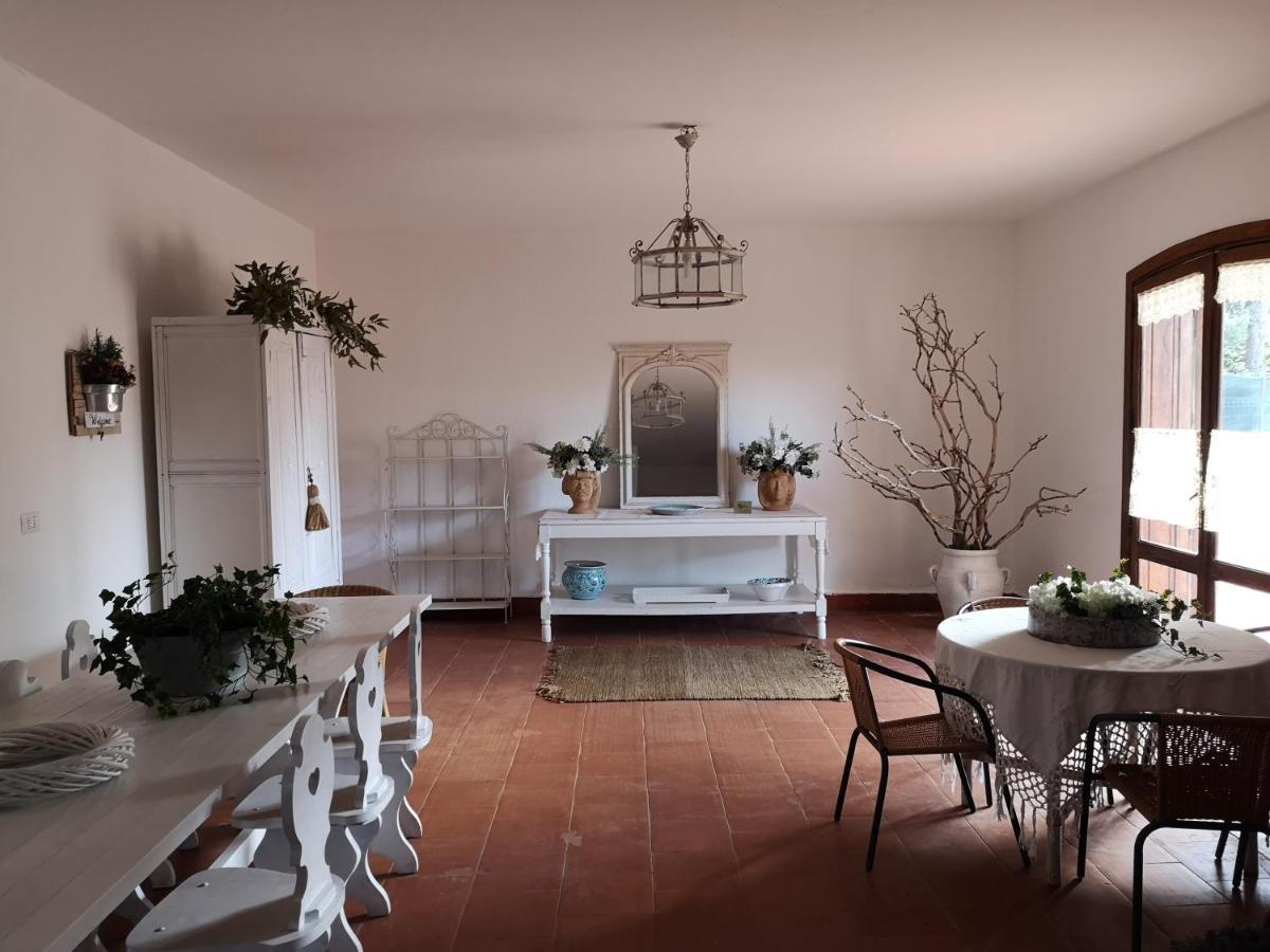 Bed and Breakfast Casa Degli Ulivi Etna Ragalna Exteriér fotografie